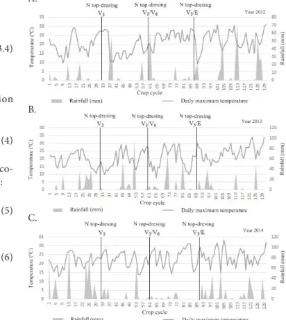 Figure 1. Rainfall, maximum temperature and days of nitrogen  application in the wheat cycle (A) 2012, (B) 2013 and (C) 2014C.