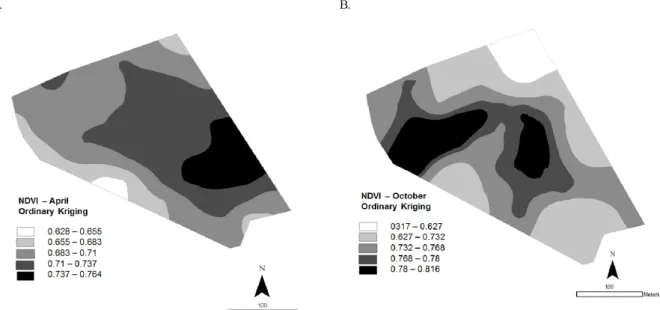 Figure 2 illustrates the kriged map created based on a  semivariance analysis of NDVI for corn and pasture
