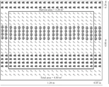 Figure 1. Graphical representation of an experimental plot  of arugula-carrot-lettuce polyculture 0.05 m1.20 m 4.00 m0.20 mTotal area = 4.80 m2Harvest area = 3.20 m2