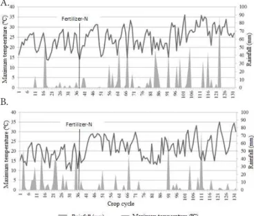 Figure 1.  Rainfall and maximum temperature along the  wheat cycle, (A) year 2014 and (B) year 2015