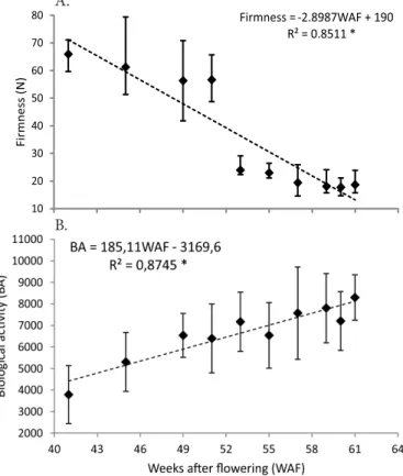 Figure  2.  Linear  relationship  between  firmness  of  Acrocomia aculeata  fruits and weeks after flowering (A) and  between biological activity of  Acrocomia aculeata  fruits  and  weeks  after  flowering  with  the  respective  standard  deviations in 