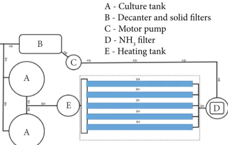 Figure 1. Aquaponic system operation schemeAAEBC DA - Culture tank
