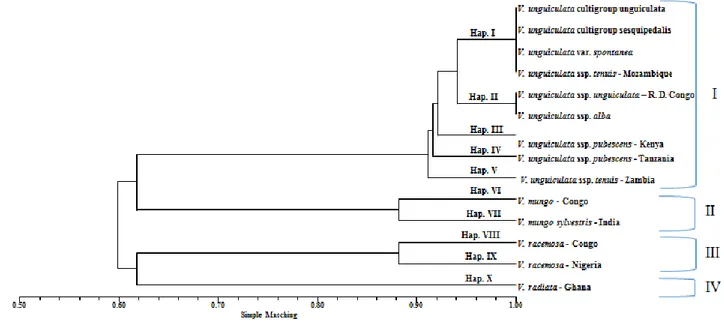 Figure 9 - Dendrogram of relationships between 113 Vigna accessions, by the UPGMA method, based on 10  cpSSRs markers.