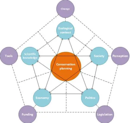 Figure 4: Dynamic of primary forces affecting conservation planning 