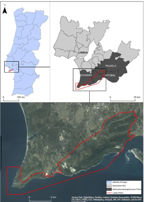 Figura 4 – Localização da área de estudo 