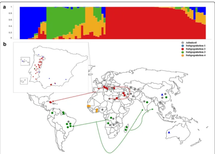Fig. 1. Population structure for 91 cowpea accessions. a Plot of ancestry estimates for K = 4; b geographical distribution and population structure of accessions used in this study, and inferred cowpea dispersion routes