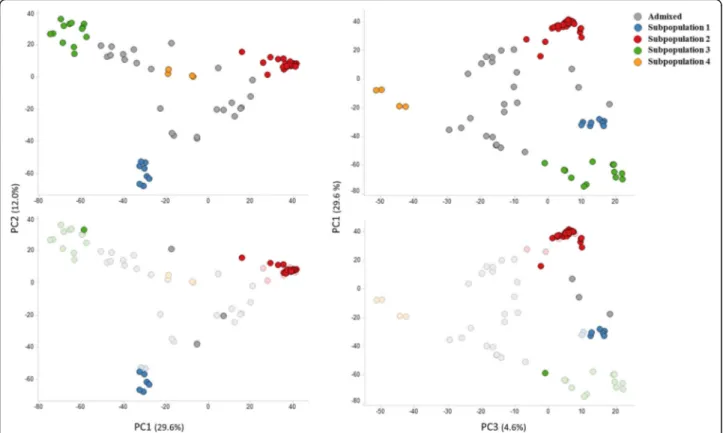 Fig. 2 Principal component analysis of cowpea accessions used in this study. The accessions are colored by subpopulation membership (K = 4).