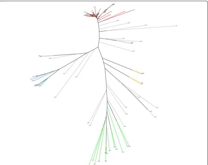 Fig. 3 Neighbor-joining tree of 91 cowpea accessions with colors representing subpopulation membership (blue = subpopulation 1; red = subpopulation 2; green = subpopulation 3; orange = subpopulation 4; and grey = admixed)