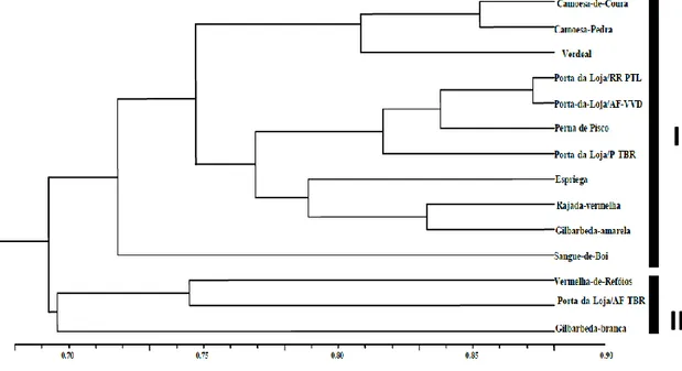 Figure  1.  UPGMA  dendrogram  based  on  SM  similarity  coefficient,  representing  phenetic  relationships  among  the  fourteen  Portuguese  apple  accessions  analysed  by  ISSR markers