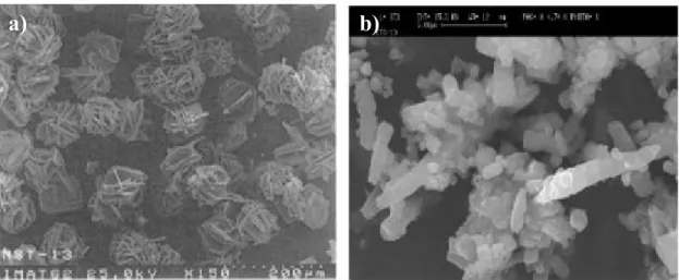 Figure II.4 – Scanning electron micrograph of: a) AM-3 crystals and b) ETS-10 crystals  (Lin et al., 1997; Pavel et al., 2002)