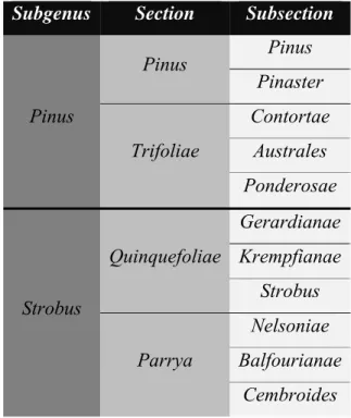 Table I.1 – Infrageneric taxonomical classification of Pinus accordingly Gernandt et al