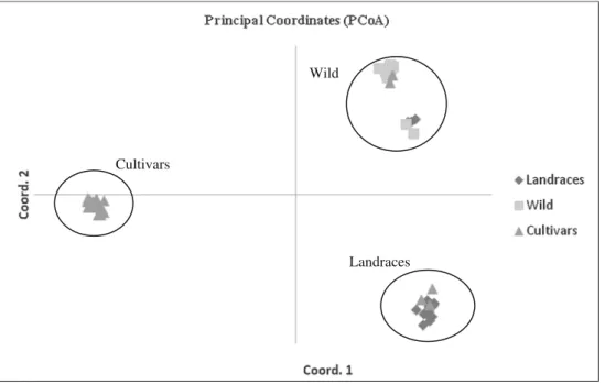 Fig. 2 Principal coordinates analysis of 58 unique hazelnut genotypes shown by groups for the AFLPs ? ISSRs