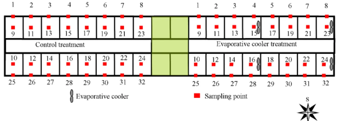 Figure 1. Distribution of treatments and sampling points for temperature and RH at swine growing-finishing phases