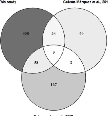 Figure  3.1  -  Venn  diagram  indicating  the  number  of  overlapping  genes  whose  deletion  was  found to confer a sensitive phenotype in three independent studies