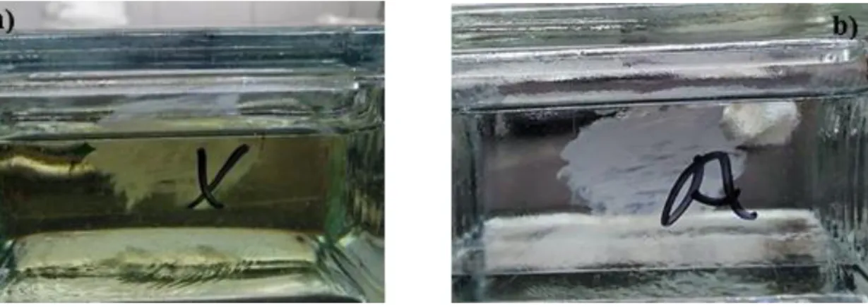 Figura 5 a) Colocação do esfregaço em xilol. b) Fixação do esfregaço em álcool a 95%. 