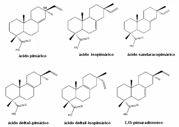 Figura 2.9 – Estruturas dos ácidos tipo Pimárico e Isopimárico 