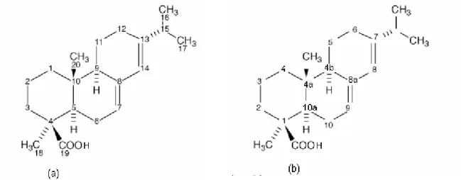 Figura  2.11  –  Numeração  do  ácido  abietico  proposta  pela  IUPAC  e  por  Rowe  et  al  (a)  e  a  numeração pelo chemical Abstracts (b)