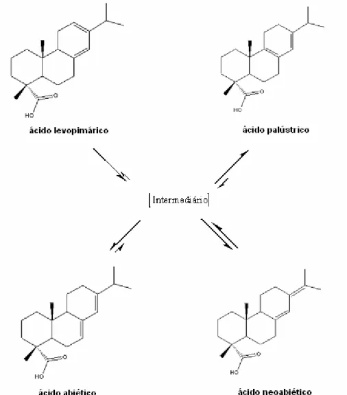 Figura 2.12 – Isomerização dos ácidos tipo abiético. 