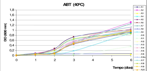 Figura 23: Resultados referentes aos valores de DO 600  obtidos para as estirpes da cultivar ABT quando  submetidas, durante 6 dias, à temperatura de 40ºC