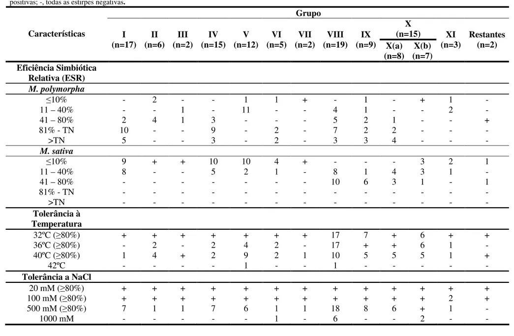 Tabela 9: Diferenciação entre características exibidas pelas 107 estirpes de Sinorhizobium; ESR= ((Média (peso seco) – T0)*100)/(TN – T0); +, todas as estirpes  positivas; -, todas as estirpes negativas