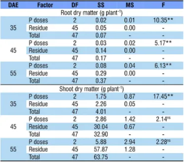 Table 2. Statistical analysis (ANOVA) evaluating phosphorus  (P) doses as a function of days after emergence (DAE) for  root dry matter and shoot dry matter