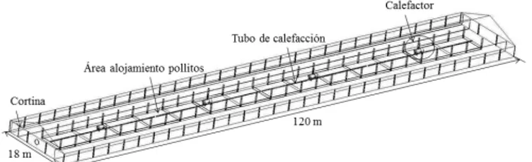 Figura 2. Disposición de cortinas dentro del galpón para  aislamiento térmico