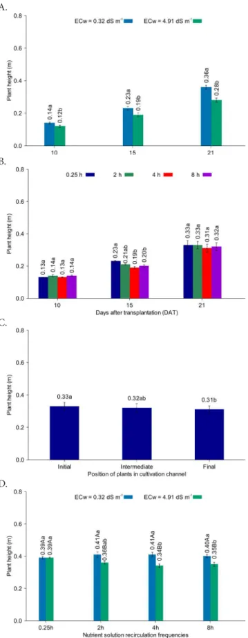Figure 3. Means of shoot fresh matter (ShFM bunch ) (A) and  shoot dry matter (ShDM bunch ) (B) of the bunch of hydroponic  coriander under different electrical conductivity of water at  10, 15, 21 and 25 days after transplantation (DAT)Figure 2