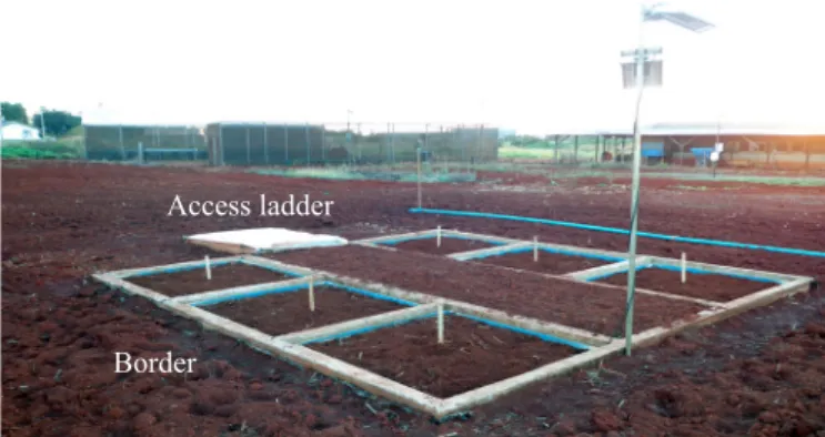 Figure 1. Experimental area, weighing lysimeters and  underground access ladder