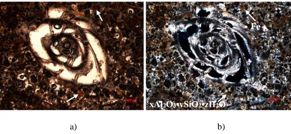 Fig. 9. The micrograph of Comiso stone thin section using: a) parallel nicols, b) crossed nicols  X-ray  diffraction  (XRD)  is  a  useful  technique  for  identifying  the  mineralogical  composition  of  the  sample