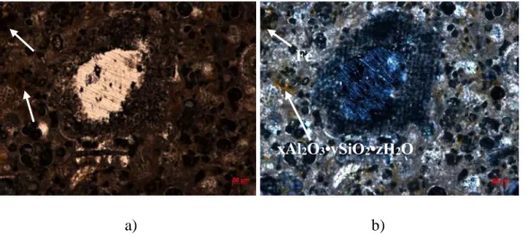 Fig. 18. The micrograph of Comiso stone thin section using: a) parallel nicols, b) crossed nicols  The XRD analysis result is presented in figure 19