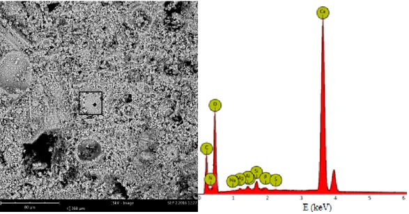 Fig. 23. Elemental composition of untreated Comiso stone sample 