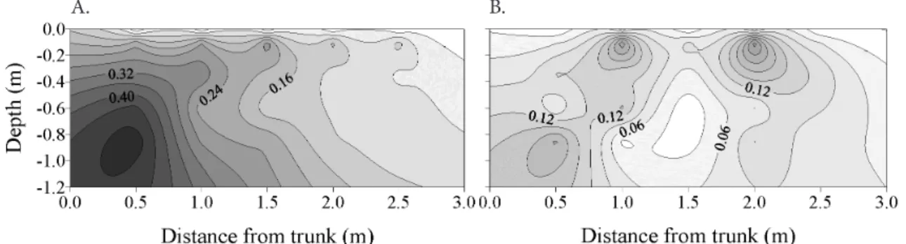 Figure 4. Distribution of root density length (cm cm -3 ) in the longitudinal direction to the plant row with irrigation (A)  and no irrigation (B)