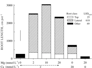 Figure 4. Total root length at harvest as a function of root classes and solution Ca and Mg treatments in the subsurface compartment for soybean cv