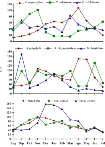 Figure 3. Litterfall of native species in pure and mixed stands, secondary forest and primary forest, from August 1994 through July 1995.