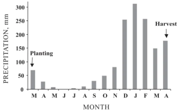 Figure 1. Monthly precipitation in eucalyptus stand during the experiment.