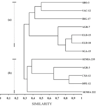 Figure 1. Unweighted pair group mathematical average dendrogram of clover-nodulating rhizobia based on Jaccard’s similarity index derived from rep-PCR data.
