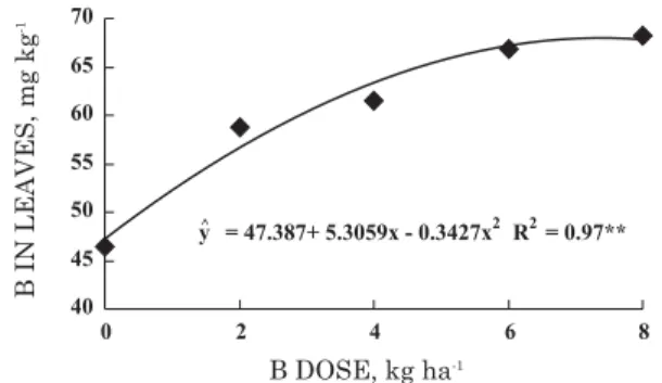Figure 3. Boron concentration in sunflower leaf tissue as related to the B rate applied to soil.