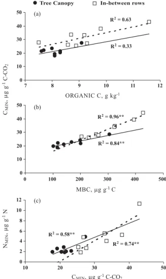 Figure 1. Relationship of C mineralization (C MIN ) to soil organic carbon (a), to microbial biomass C (MBC) (b) and to N mineralization (N MIN ) (c) under the tree canopy and in-between rows