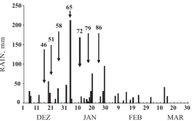 Figure 1. Rain at the experimental site during cotton growth. Arrows show sampling times and the labels are days after plant emergence in each sampling.