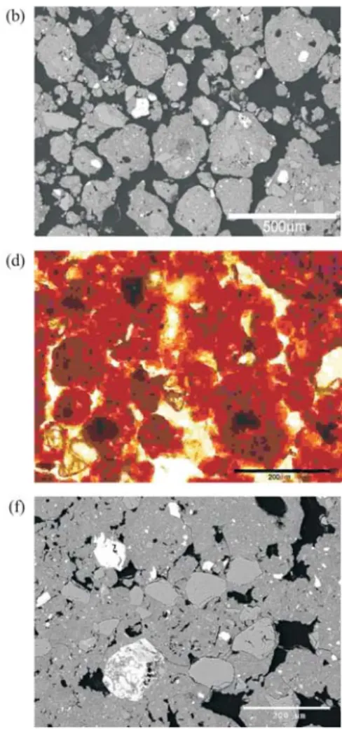 Figure 2. Microphotographs of the transformation process between the Bfl (profile 1) and the Bni (profile 1) horizons
