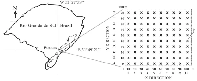 Figure 1. Site location and illustration of the 100 point experimental grid.