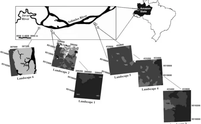 Figure 1. Geographical location of the studied landscapes in the municipality of Benjamin Constant, Amazonia, Brazil, on the Solimões River