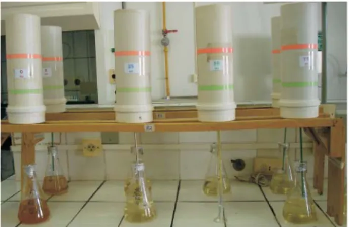 Figure 1. PVC columns with samples of natural soil and soil-sludge mixtures.