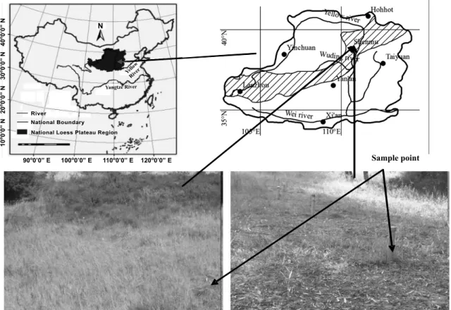 Figure 1. Study location on the Chinese Loess Plateau, with a general view of the deposited farmland soils and sample sites.