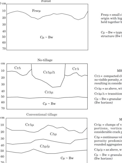 Table 2 shows the results for mean weighted diameter (MWD), mean geometric diameter (MGD) and the aggregate stability index (ASI), distribution of aggregate size classes (Table 3) and water-dispersed clay (WDC), clay flocculation index (FI), Ca 2+ , pH, or