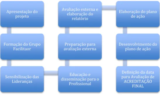 Figura 6. Etapas do projeto de Acreditação Internacional 