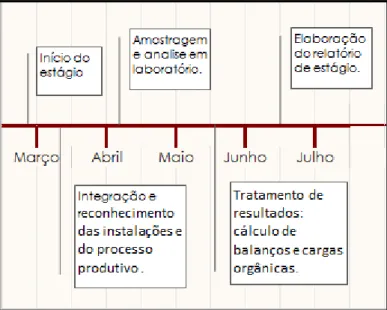 Figura 6 – Cronograma das atividades realizadas ao longo do estágio curricular. 