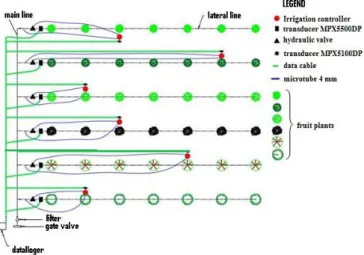 Figure 1. Field experimental setup with six rows of fruit  plants 