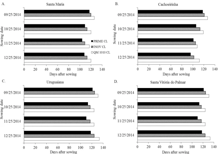 Figure 2. Development cycle duration (Sowing to R9) for three hybrid cultivars of irrigated rice, INOV CL, PRIME CL  and QM 1010 CL, on four sowing dates, in Santa Maria (A), Cachoeirinha (B), Uruguaiana (C) and Santa Vitória do  Palmar (D), RS, simulated 