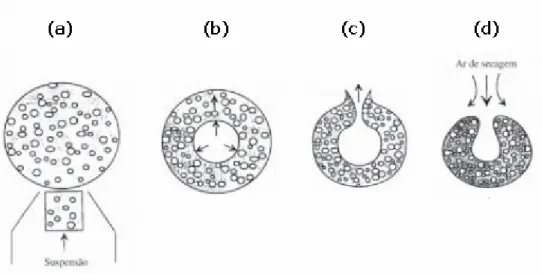 Figura 2.9 – Representação esquemática da evolução da atomização de um  grânulo cerâmico: (a) formação da gota à saída do bico de pulverização, (b)  evaporação do líquido, (c) explosão, (d) formação da partícula sólida